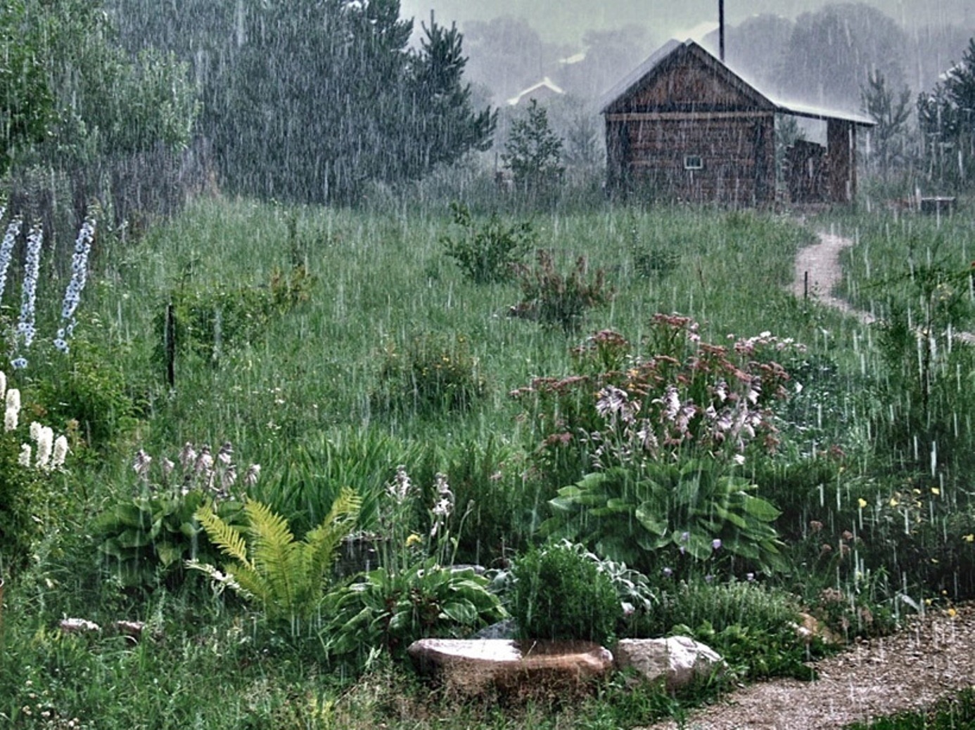 Летний дождь в деревне