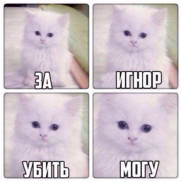 Бокалы шампанского, на стену картинки с приколами в вк