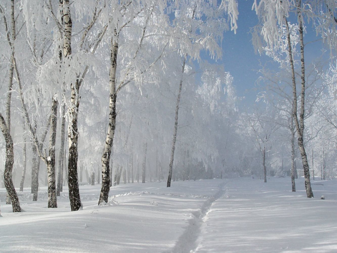 Картинки Январь Город