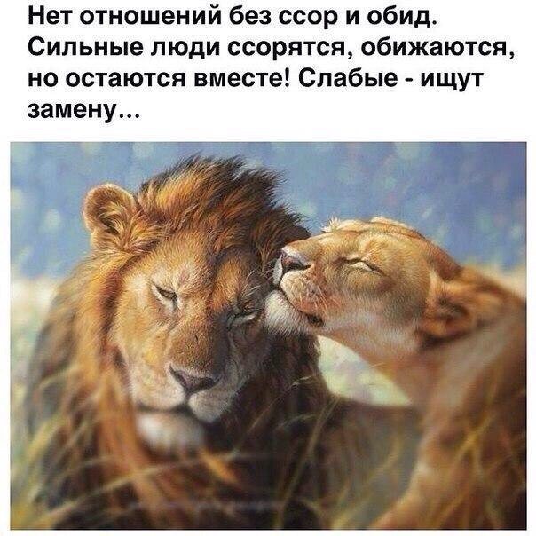 керн картинки давай жить без ссор гостиной стиле лофт