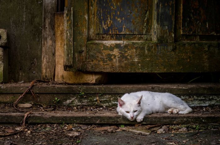 Не делай добра не получишь зла фото