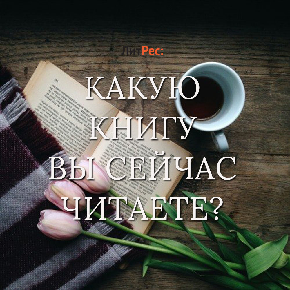 В этой книге вы прочитаете. Почитать книгу. Какие книги сейчас читают. Какие книги читать. Какую книгу вы сейчас читаете.