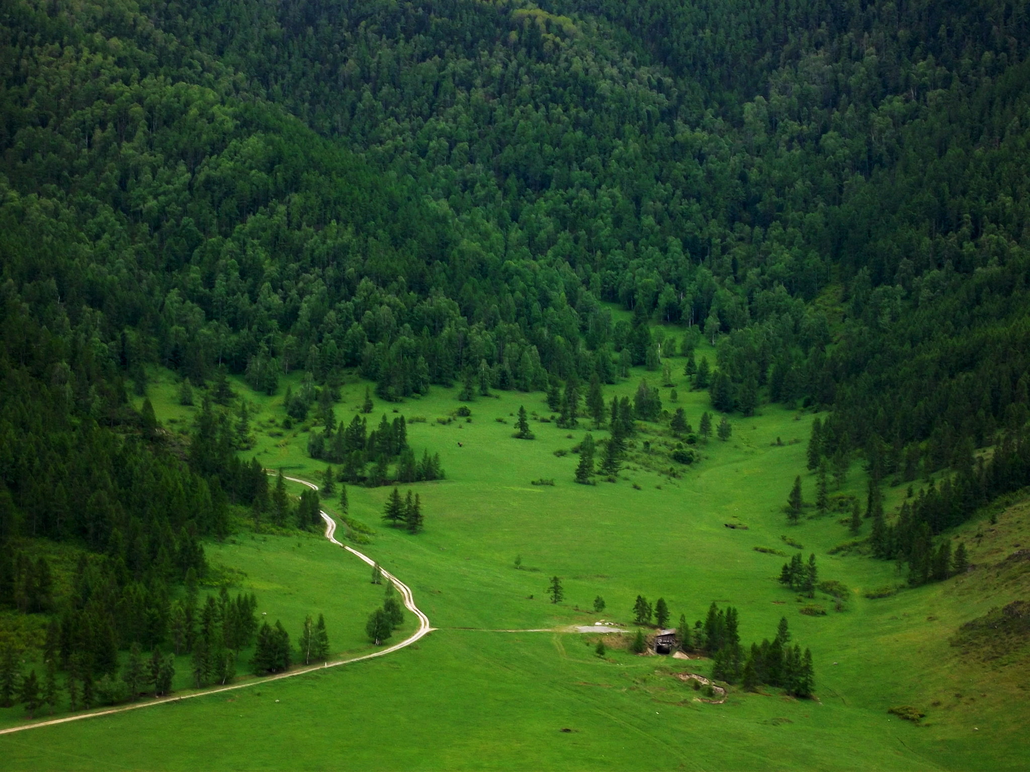 Усадьба Сокольских горный Алтай фото