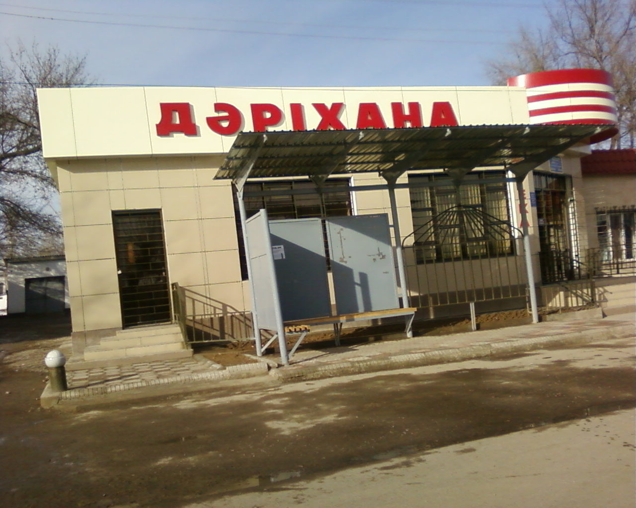 Арман сарыагаш