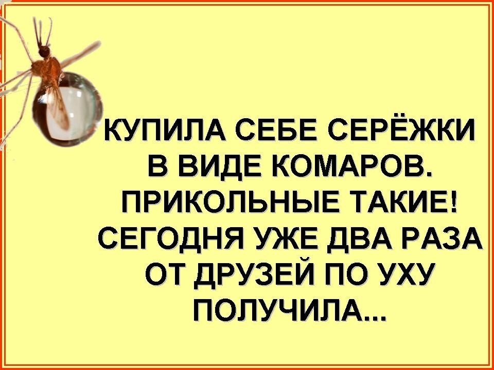 Картинки про комаров прикольные