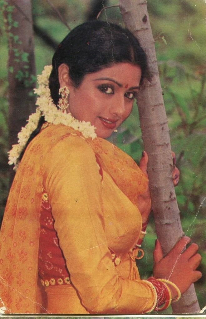 Sridevi Fakes