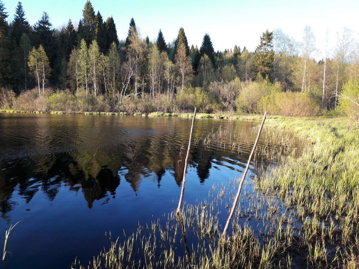 Красоты земли русской озера в глуши