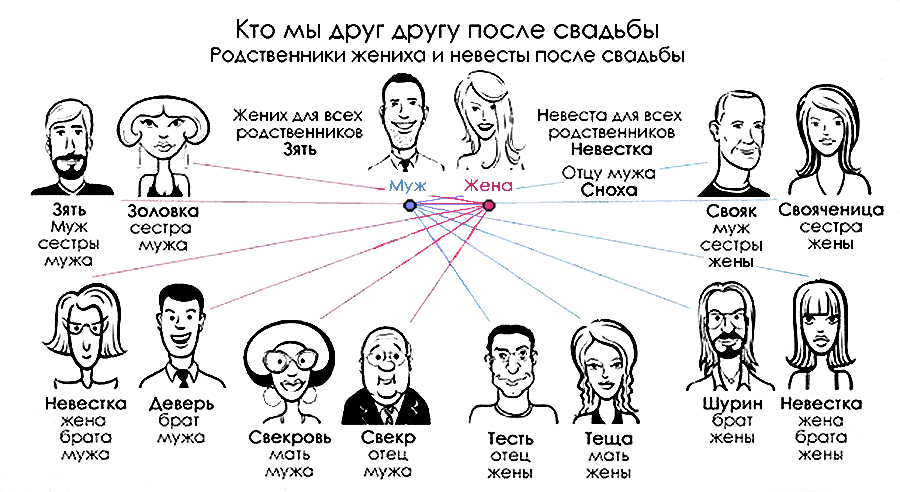 Распределите пары фотографий животных по принципу родственники или не родственники